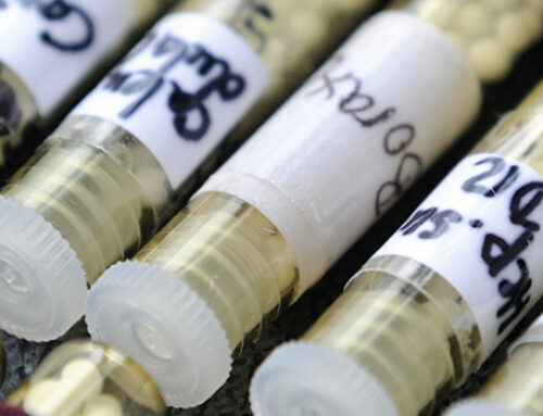 Anwendertraining Homöopathie